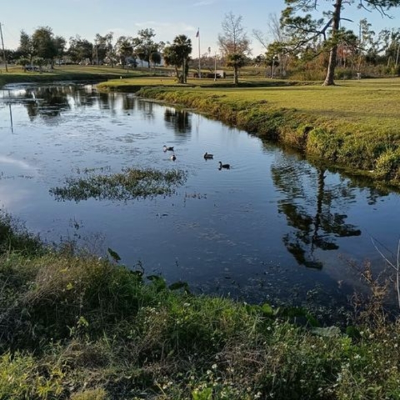 Meet your Posher, Eddie - Picture 1 of 1